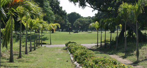 DOMINICAN REPUBLIC - Playa Grande Golf Course