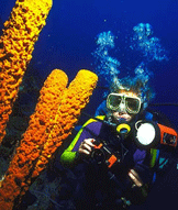 PUERTO RICO: Immersioni subacquee