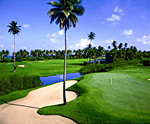 PUERTO RICO: Golf Course